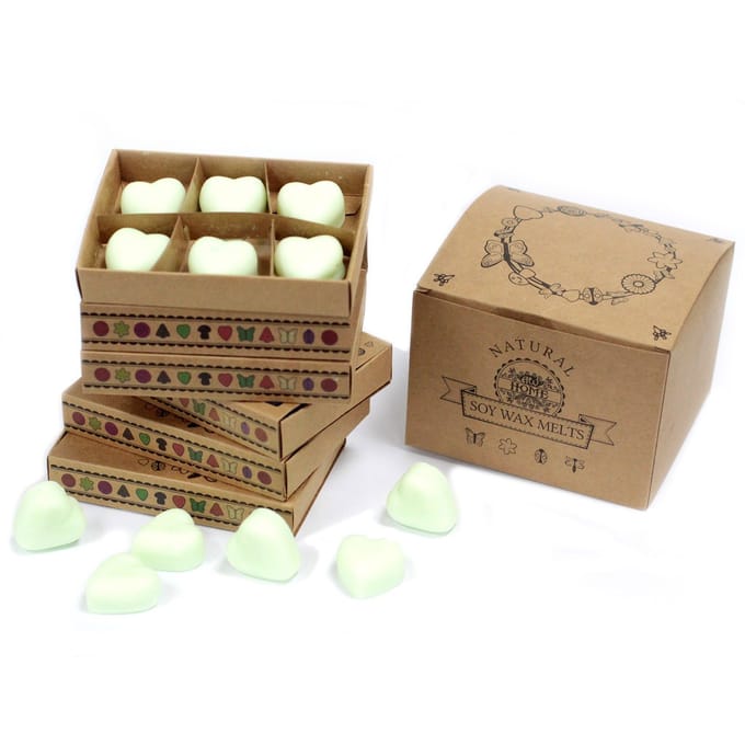 Cadeauset van 6 waxmelts - Watermelon Fresh
