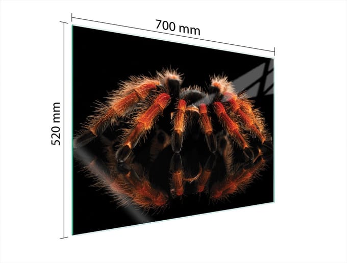TMK ArtDeko - Glazen Beschermplaat - 70x52 cm - Veilig - Modern