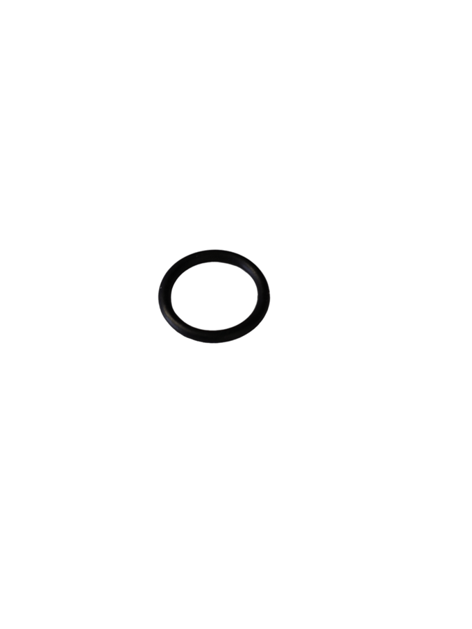 O-ring