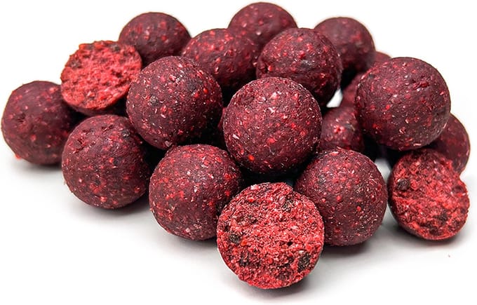 Bloodworm Halibut Boilies 2,5KG - 20MM - 15, 20 en 24MM - Karperaas