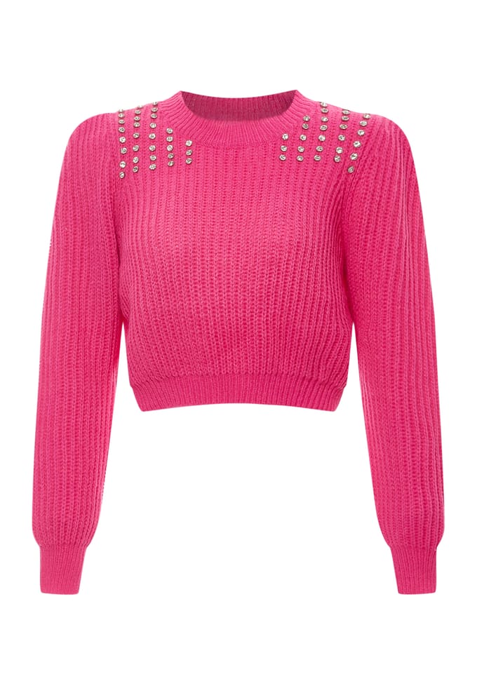 Faina Jumper Dames roze