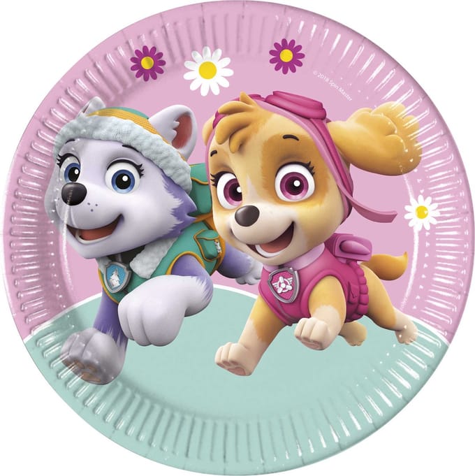 Vegaoo - 8 kartonnen Stella + Everest Paw Patrol borden