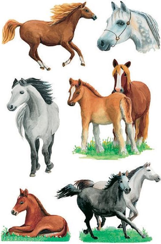 Etiket herma 3553 paarden rassen | 10 stuks