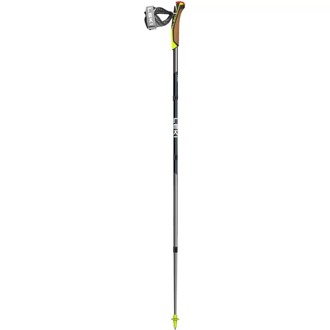 Leki Traveller Fx One Carbon Stokken Zilver 110 cm