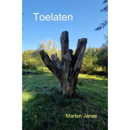 Toelaten - Marten Janse