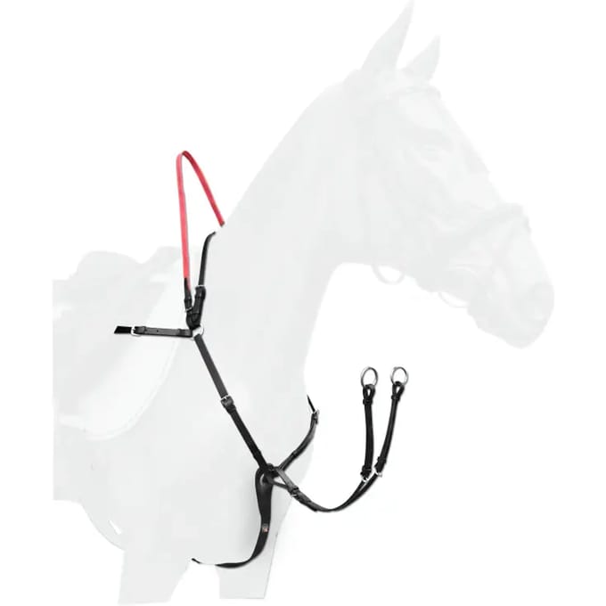 Veiligheidstuig voor paard met veiligheidsriemen Waldhausen Secutrust