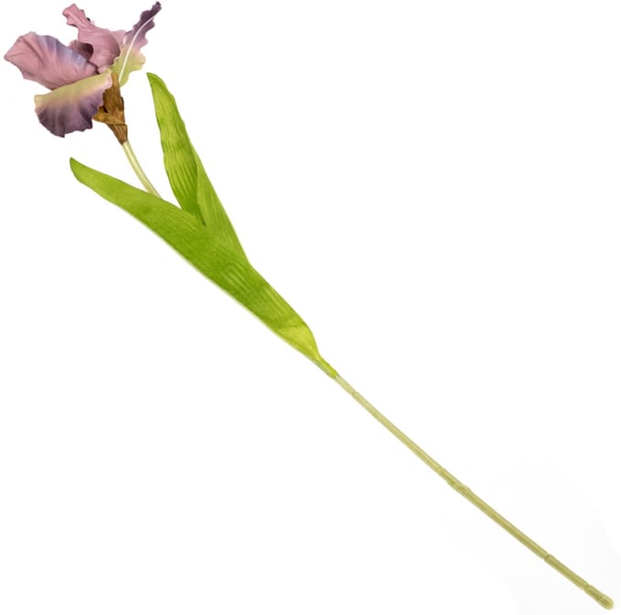 HomeBound by KY | Kunstbloem iris oudroze | kunstbloem | kunstbloem iris