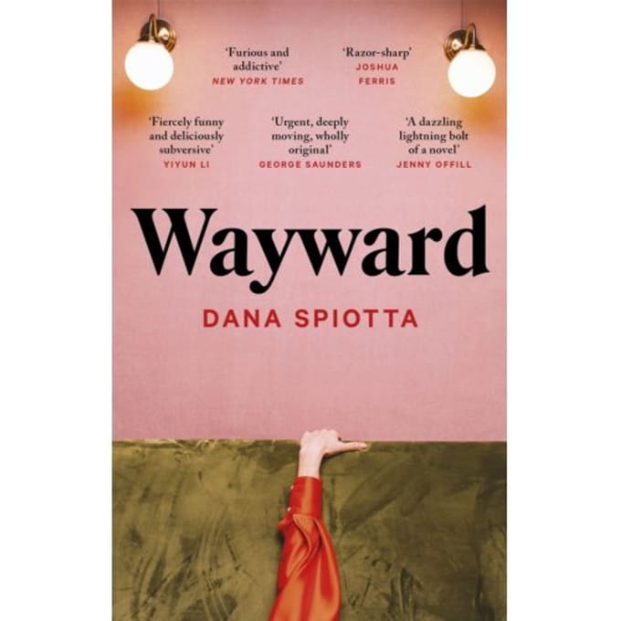 Wayward - Dana Spiotta