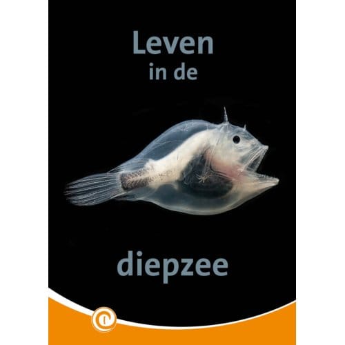 Leven In De Diepzee - Informatie - Geert-Jan Roebers