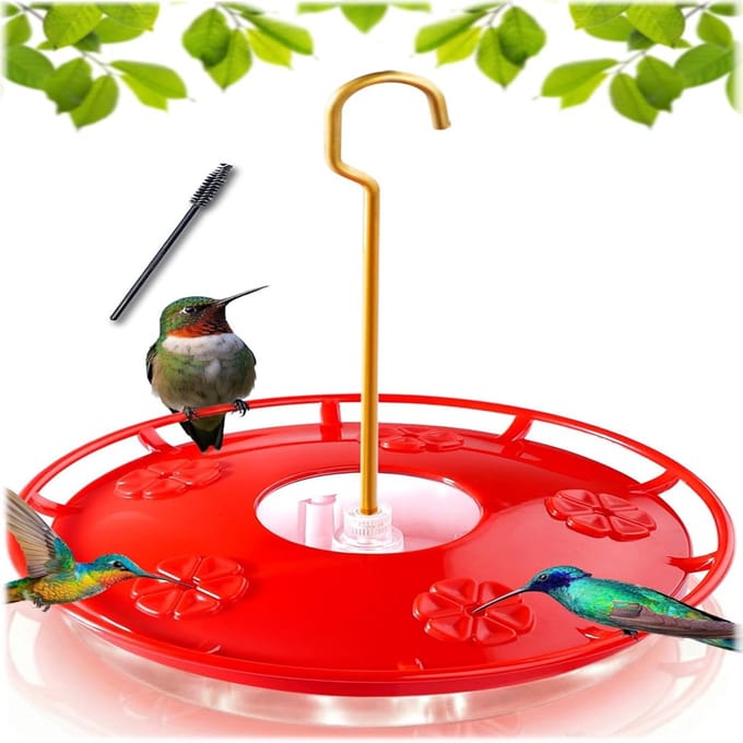 QTTVBTNA -Hummingbird Feeder - Nectar Feeder - Leak-Proof Design - BPA-Free Plastic - Ant Moat & 360° Perch - 1 Pieces