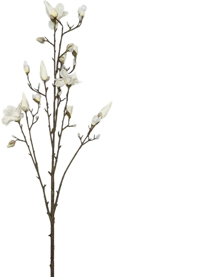Kunsttak Magnolia Spray Cream - 155 cm
