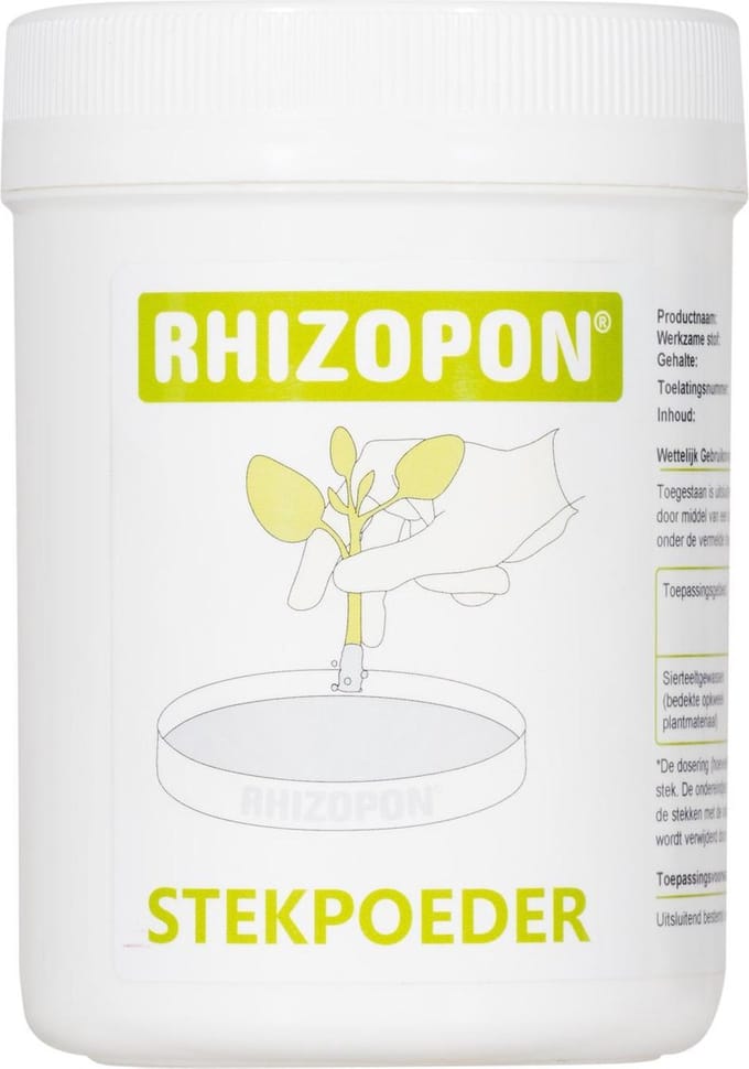 RHIZOPON CHRYZOTOP GROEN 0.25% 80 GRAM
