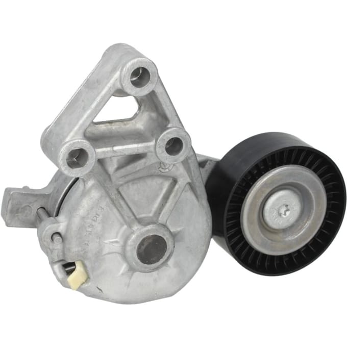 Riemspanner, Poly V-riem SKF VKM 31019