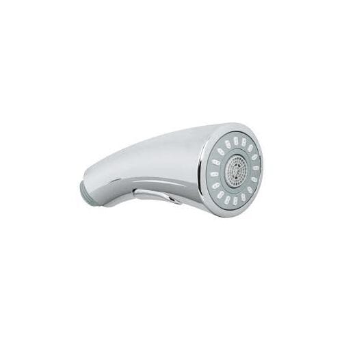 Grohe replacement shower for kitchen faucet 46875NC0
