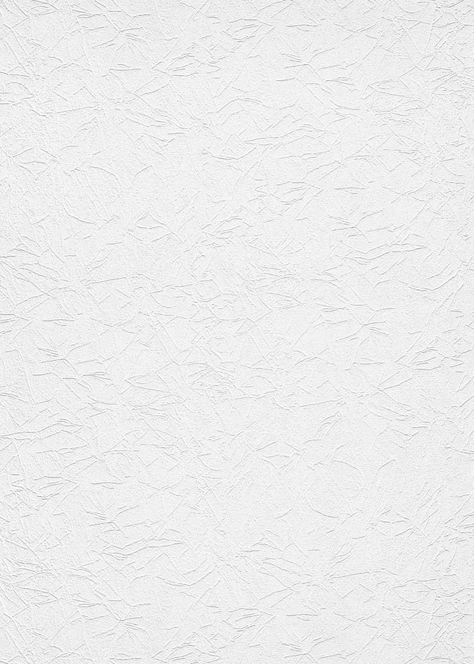 Erismann Vinylbehang 11033-01 - RollOver27 - Overschilderbaar Wit - 106cm x 25,00m