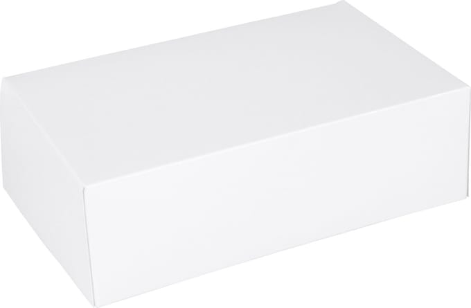 Gebaksdoos | karton | 24x16x8cm | wit | 300 stuks
