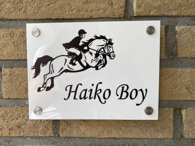 Naambordje / huisnummer voordeur springpaard met ruiter wit