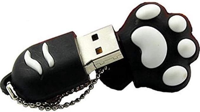 Kattenpootje usb stick 128GB 3.0