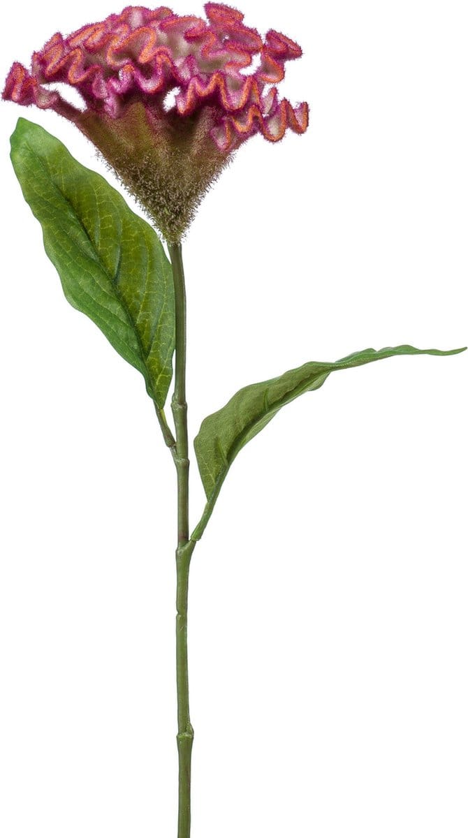 Emerald - Kunstbloem Celosia 62cm roze - Kunstplant voor binnen