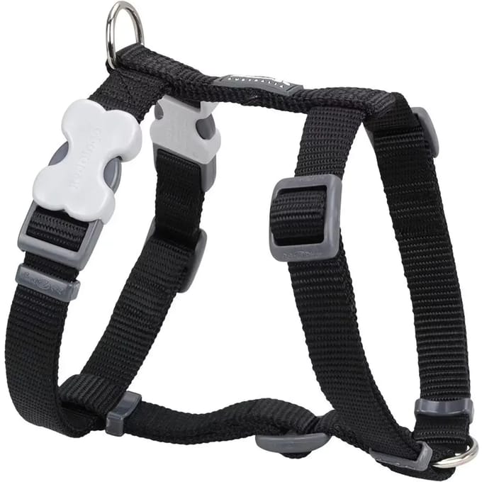 Red Dingo Hondentuig 25mm Neck 46-76cm Body 56-80cm DH-ZZ-BB-25
