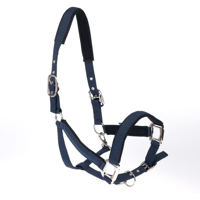 Nomad Tales halster met neopreen vulling, marineblauw ponypaard