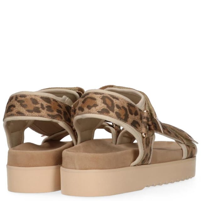 Maruti - Beau Sandalen Bruin - Leopard Brown - 41