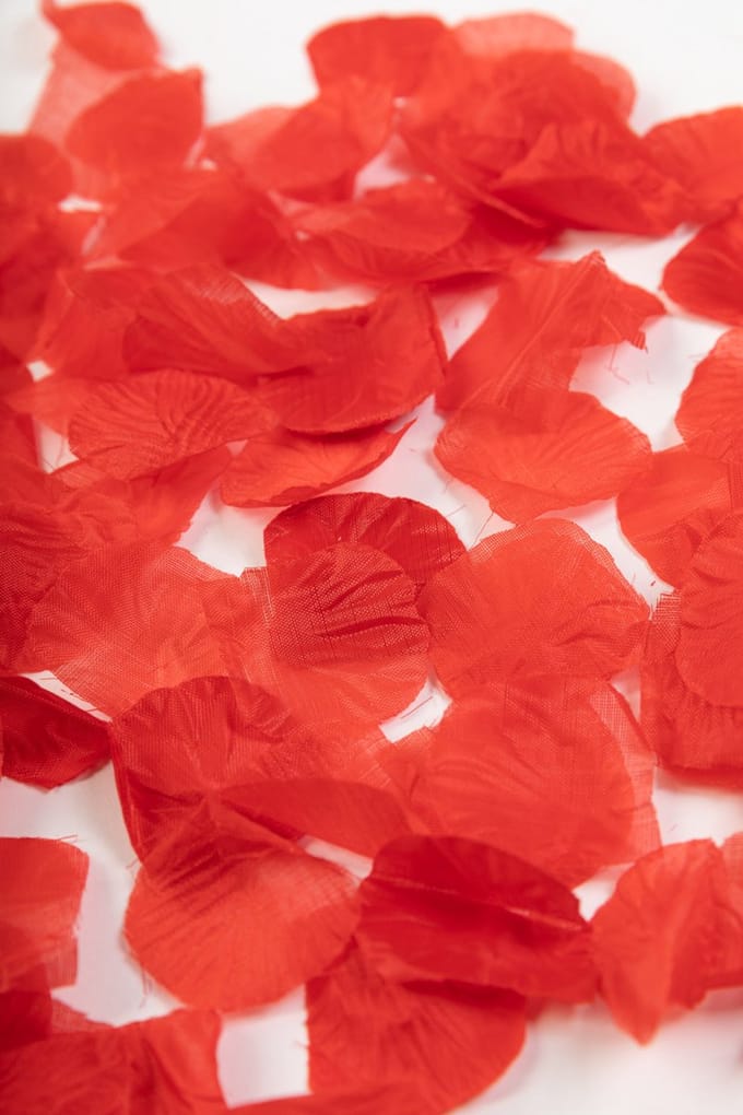500x Rozenblaadjes Rood - Feest Thema Bruiloft Rozen