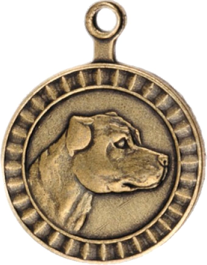 Hondenpenning - Rashond Staffordshire Bull Terriër