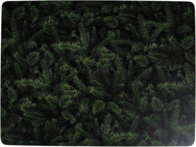 placemat dennentakken 30x40cm (4)*