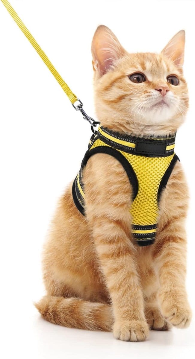 White-Label® Kattennet Balkon - Kattengaas -0.5 x 1M