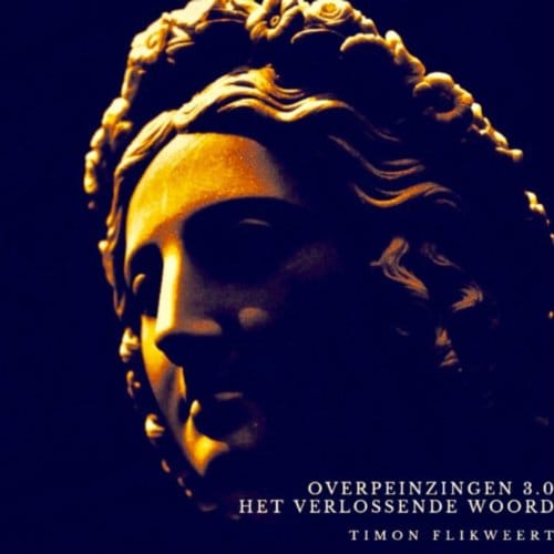 Overpeinzingen 3.0: Het Verlossende Woord - Timon Flikweert