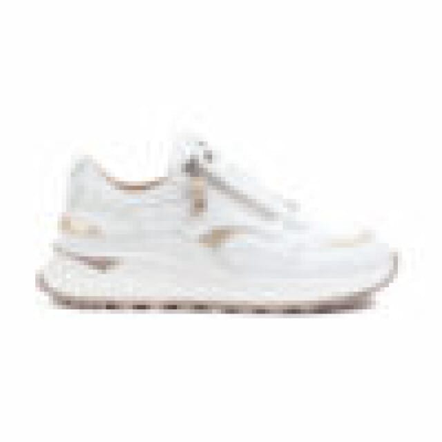 Footnotes 15.005.1020