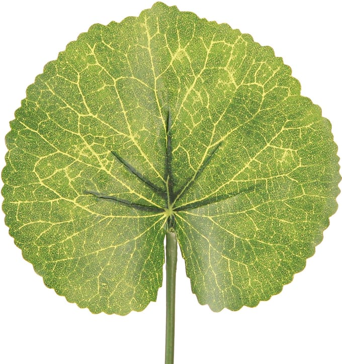 Galax Urceolata Bladeren Kunstmatig Groen Ø10cm L23cm 12 stuks, 12 Stü