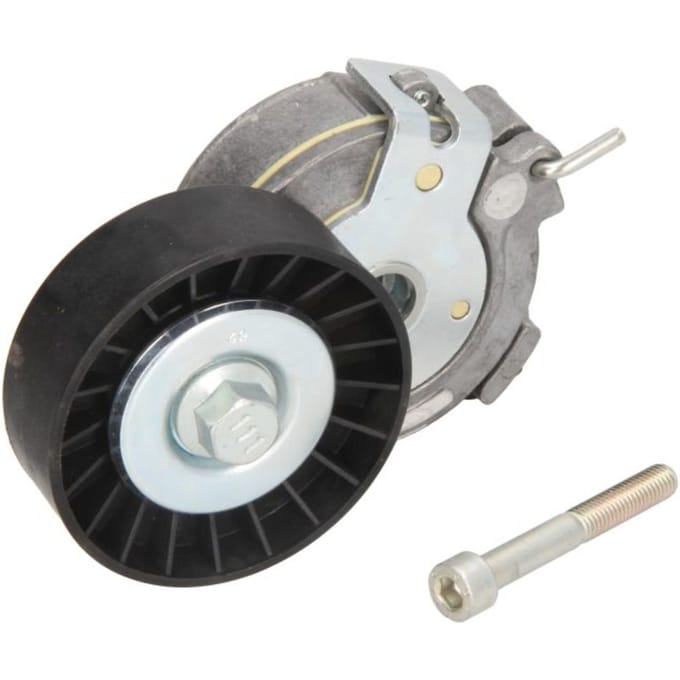 Riemspanner, Poly V-riem DAYCO APV1002
