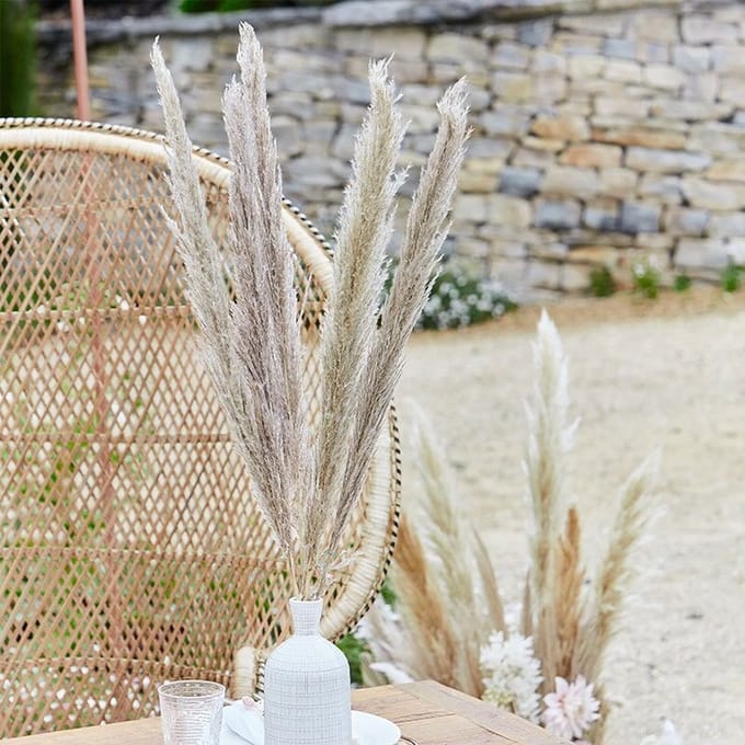Ginger Ray Natural Pampas Grass