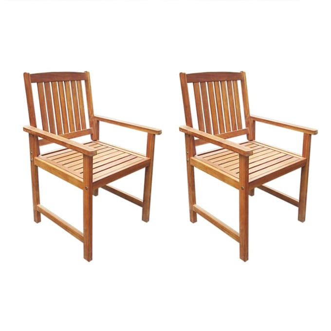 vidaXL - Tuinstoelen - 2 - st - massief - acaciahout - bruin