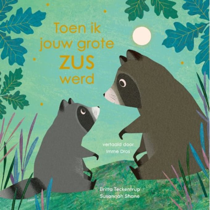 Toen Ik Jouw Grote Zus Werd - Susannah Shane