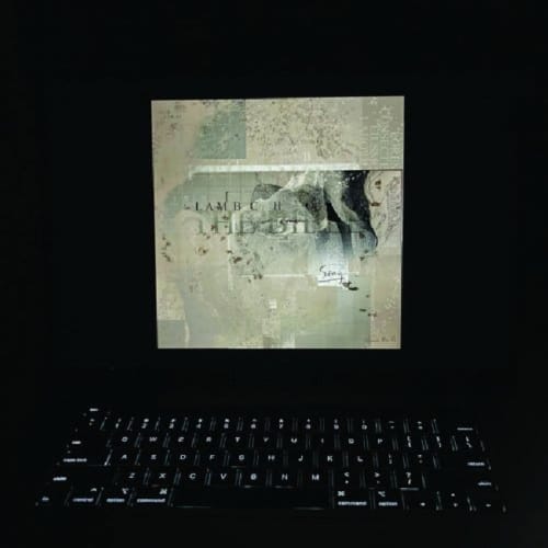 Lambchop - The Bible (2 LP) (Coloured Vinyl) (Limited Edition)