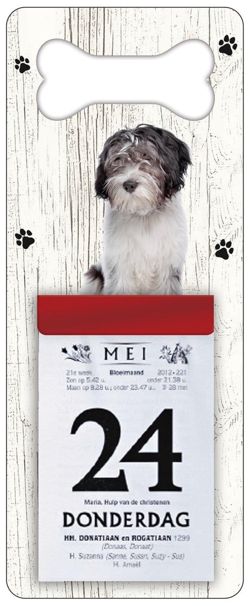 Scheurkalender 2027 Hond: Nederlandse Schapendoes