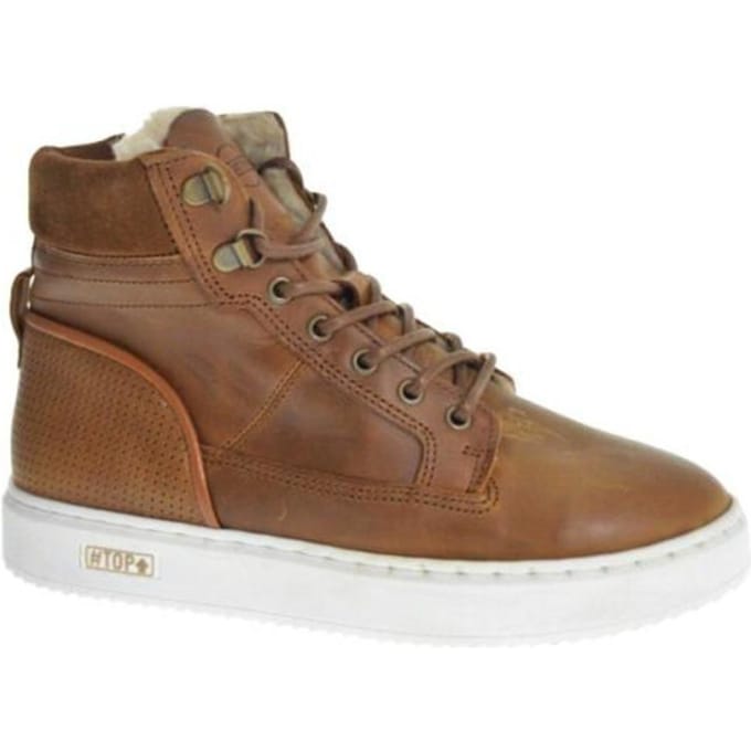 Gattino G2586