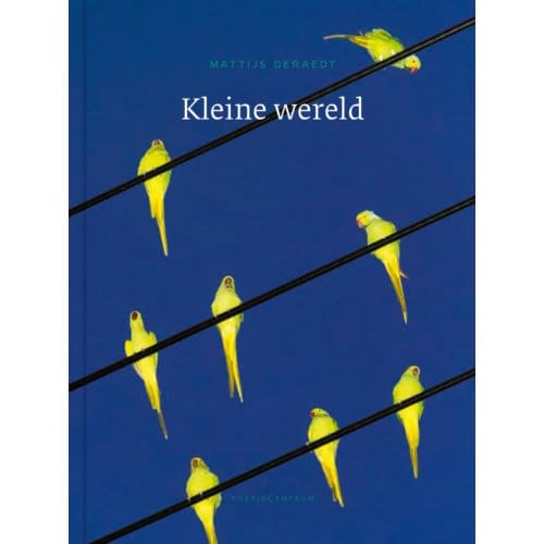 Kleine Wereld - Mattijs Deraedt