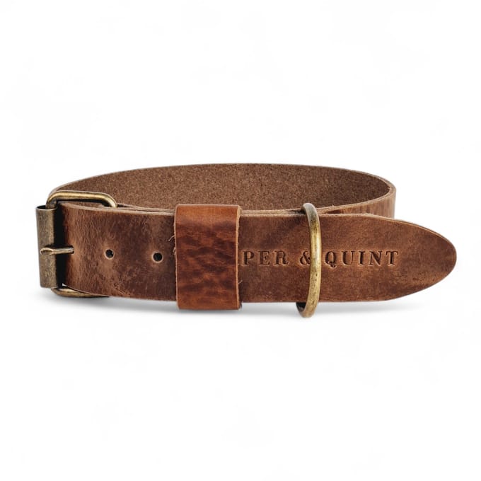 Cooper & Quint Bold Brede Leren Halsband - Stone - Medium - 3cm - Oud Messing