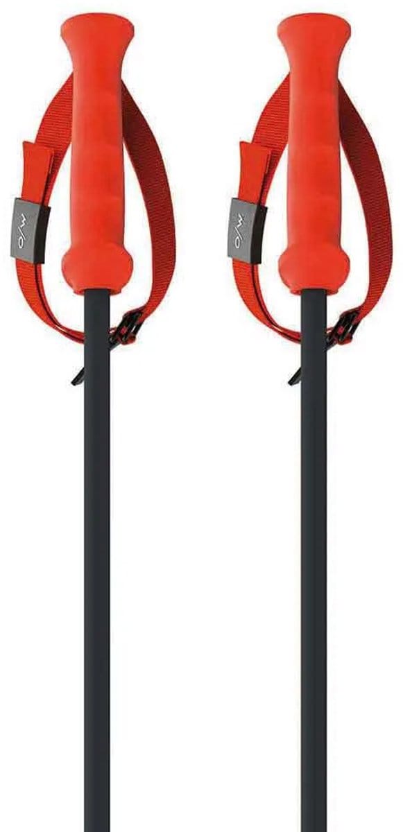 Fischer Rd 13 Carbon Stokken Oranje 135 cm
