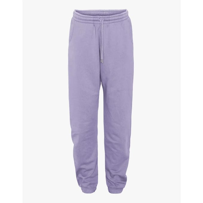 Jogging Colorful Standard Organic Purple Jade