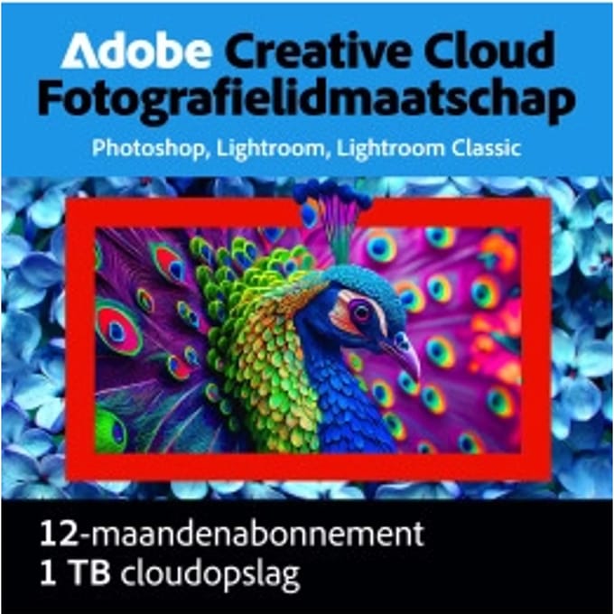Adobe Photography Plan Creative Cloud 1 Gebruiker 1Jaar 1TB cloudopslag / Windows of Mac /  / Engels
