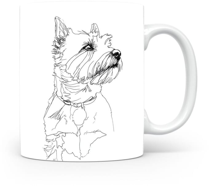Beker Norwich Terrier