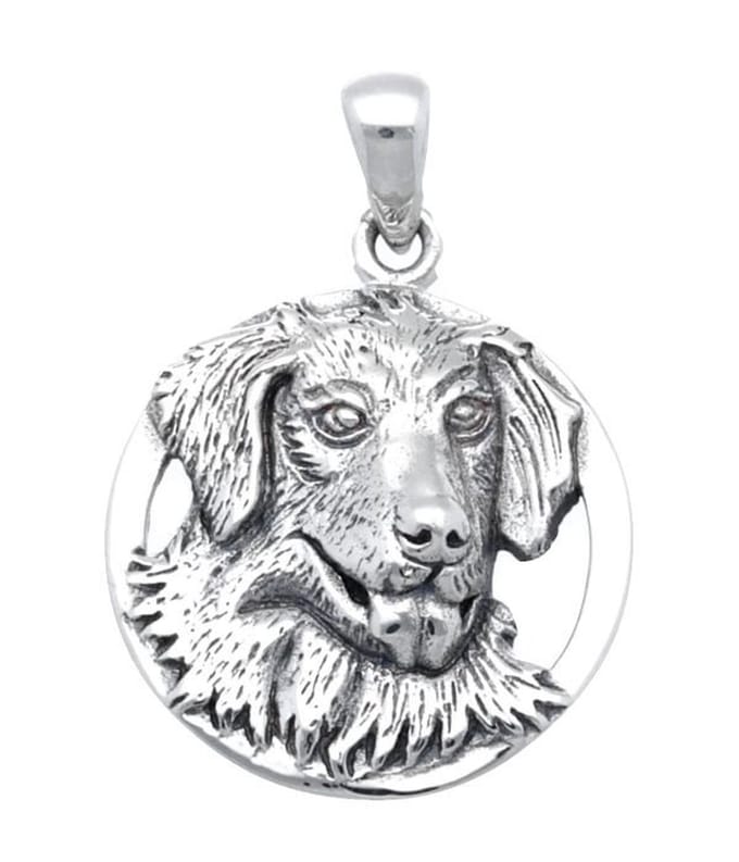 Zilveren Golden retriever in ring kettinghanger