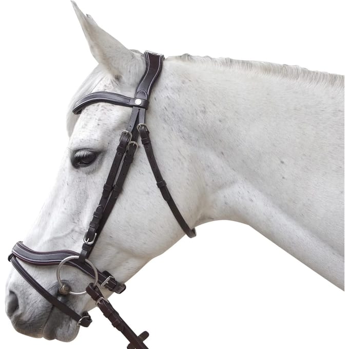 Anatomische hoofdstellen Canter Baloubet