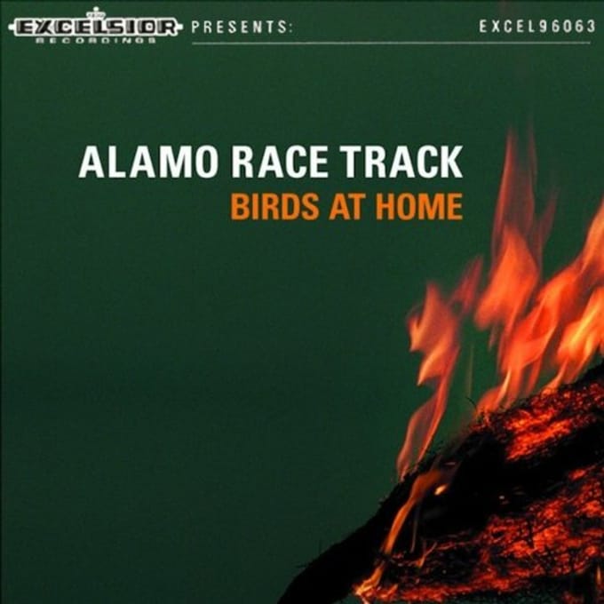 Birds At Home - Alamo Race Track