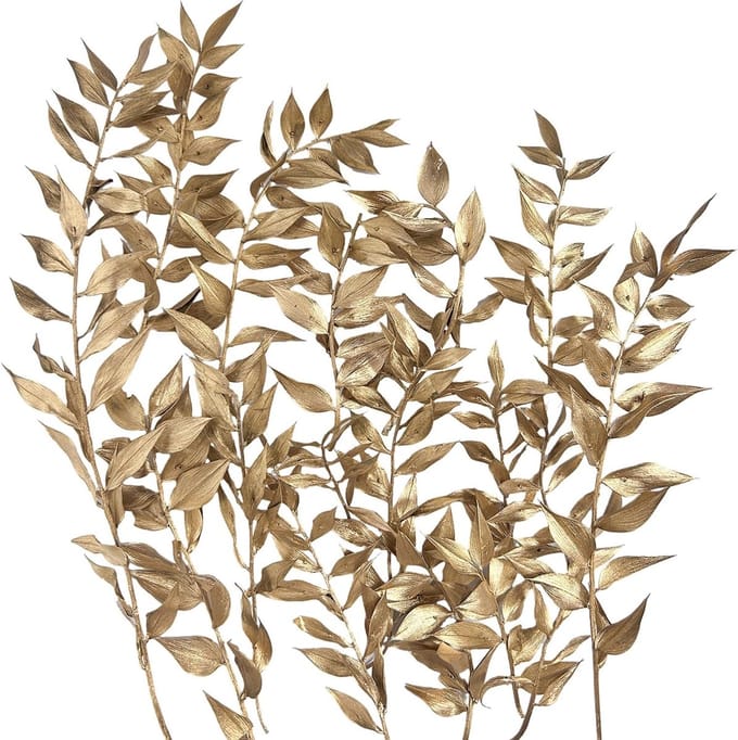 Dried Ruscus en Gedroogde Bloemen voor Creatieve DIY Projecten, Scrapbooking en Decoratie